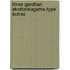 Three Gandhari Ekottarikagama-Type Sutras