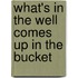 What's in the Well Comes Up in the Bucket