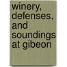 Winery, Defenses, And Soundings At Gibeon by James B. Pritchard