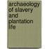 Archaeology Of Slavery And Plantation Life