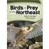 Birds of Prey of the Northeast Field Guide