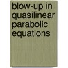 Blow-Up in Quasilinear Parabolic Equations door Victor A. Galaktionov
