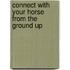 Connect with Your Horse from the Ground Up