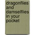 Dragonflies And Damselflies In Your Pocket