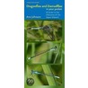 Dragonflies And Damselflies In Your Pocket door Ann Johnson