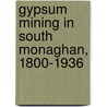 Gypsum Mining In South Monaghan, 1800-1936 door Micheal McDermott