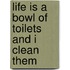 Life Is a Bowl of Toilets and I Clean Them