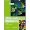 Mathematics Matters Grade 4 Learner's Book door Zonia Jooste