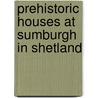 Prehistoric Houses at Sumburgh in Shetland door Raymond Lamb