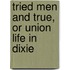 Tried Men And True, Or Union Life In Dixie