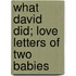 What David Did; Love Letters Of Two Babies