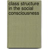 Class Structure in the Social Consciousness door S. Ossowski