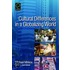 Cultural Differences In A Globalizing World