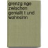 Grenzg Nge Zwischen Genialit T Und Wahnsinn