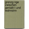 Grenzg Nge Zwischen Genialit T Und Wahnsinn door Anonym