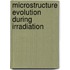 Microstructure Evolution During Irradiation