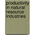 Productivity In Natural Resource Industries