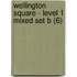 Wellington Square - Level 1 Mixed Set B (6)