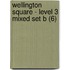 Wellington Square - Level 3 Mixed Set B (6)