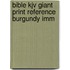 Bible Kjv Giant Print Reference Burgundy Imm