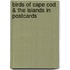 Birds of Cape Cod & the Islands in Postcards