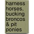 Harness Horses, Bucking Broncos & Pit Ponies