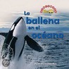 La Ballena en el Oceano = Whale in the Water door Dana Meachen Rau