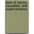 Laws of Nature, Causation, and Supervenience