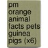 Pm Orange Animal Facts Pets Guinea Pigs (X6)