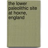 The Lower Paleolithic Site At Hoxne, England door Bruce G. Gladfelter