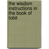 The Wisdom Instructions in the Book of Tobit door Francis M. Macatangay
