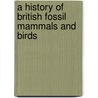 A History Of British Fossil Mammals And Birds by Richard Owen