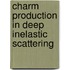 Charm Production In Deep Inelastic Scattering