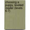 Choosing a Puppy, Leveled Reader (Levels 6-7) by Jenny Giles