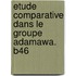 Etude Comparative Dans Le Groupe Adamawa. B46