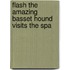 Flash the Amazing Basset Hound Visits the Spa