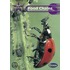 New Star Science Year 6 Food Chains Unit Pack