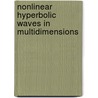 Nonlinear Hyperbolic Waves in Multidimensions door Phoolan Prasad