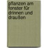 Pflanzen am Fenster für drinnen und draußen
