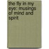 The Fly In My Eye: Musings Of Mind And Spirit