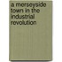 A Merseyside Town In The Industrial Revolution