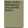 Black Youths, Delinquency And Juvenile Justice door Janice Joseph