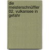 Die Meisterschnüffler 02. Vulkansee in Gefahr by Harald Schneider