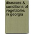 Diseases & Conditions of Vegetables in Georgia