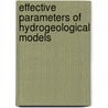 Effective Parameters Of Hydrogeological Models by Vikenti Gorokhovski