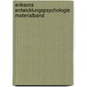 Eriksons Entwicklungspsychologie. Materialband door Sarah Maschke