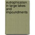 Eutrophication In Large Lakes And Impoundments