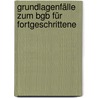 Grundlagenfälle Zum Bgb Für Fortgeschrittene door Michael Martinek