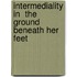 Intermediality In  The Ground Beneath Her Feet
