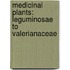 Medicinal Plants: Leguminosae To Valerianaceae